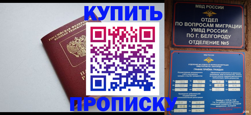 прописка регистрация в Галиче